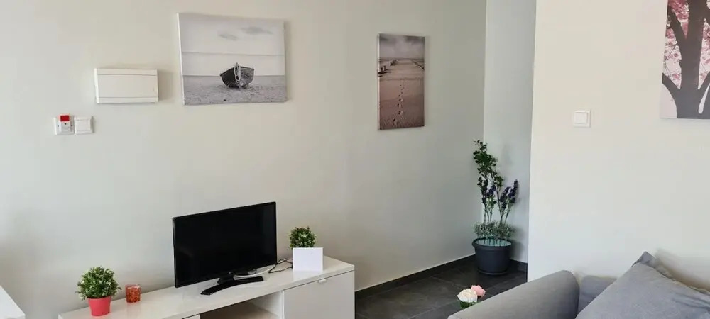 14 AN - 113 Nissi Twins Apartment