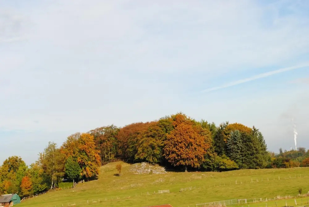 Landgasthof Gruss