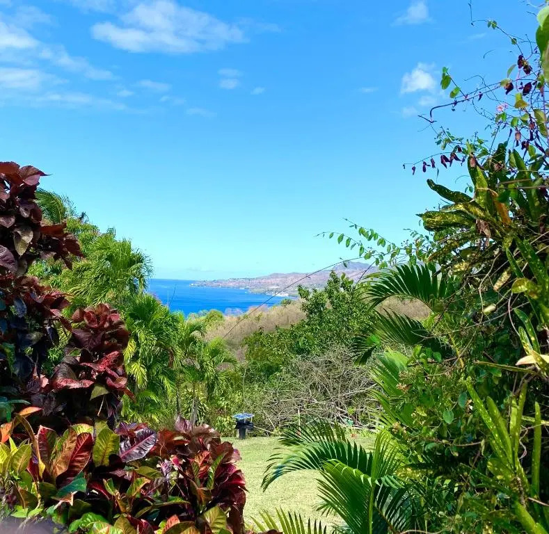 LODGE COLIBRIS Piscine Privée vue panoramique mer et montagne pelée , 500m plage dans un parc , Calme assuré Idéal pour découvrir le nord Caraïbes