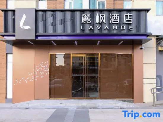 Lavande Hotel (Beijing south railway station public welfare west bridge subway station store)