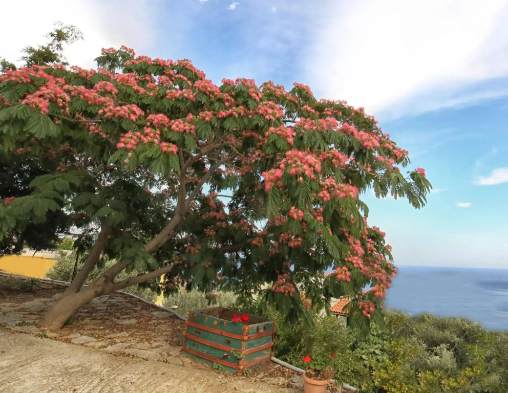 Pyrgos Traditional Village