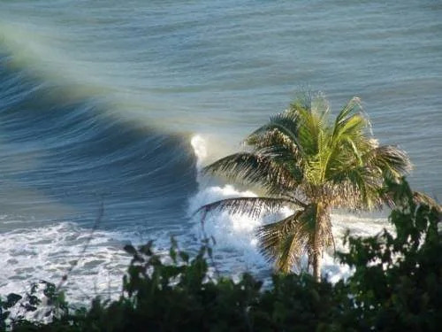 Surf Camp Pipa Hostel