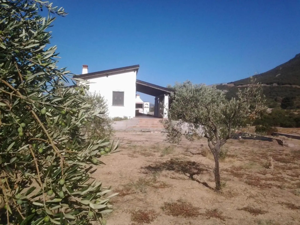 Casa Corofulu Oliena - IUN P2139