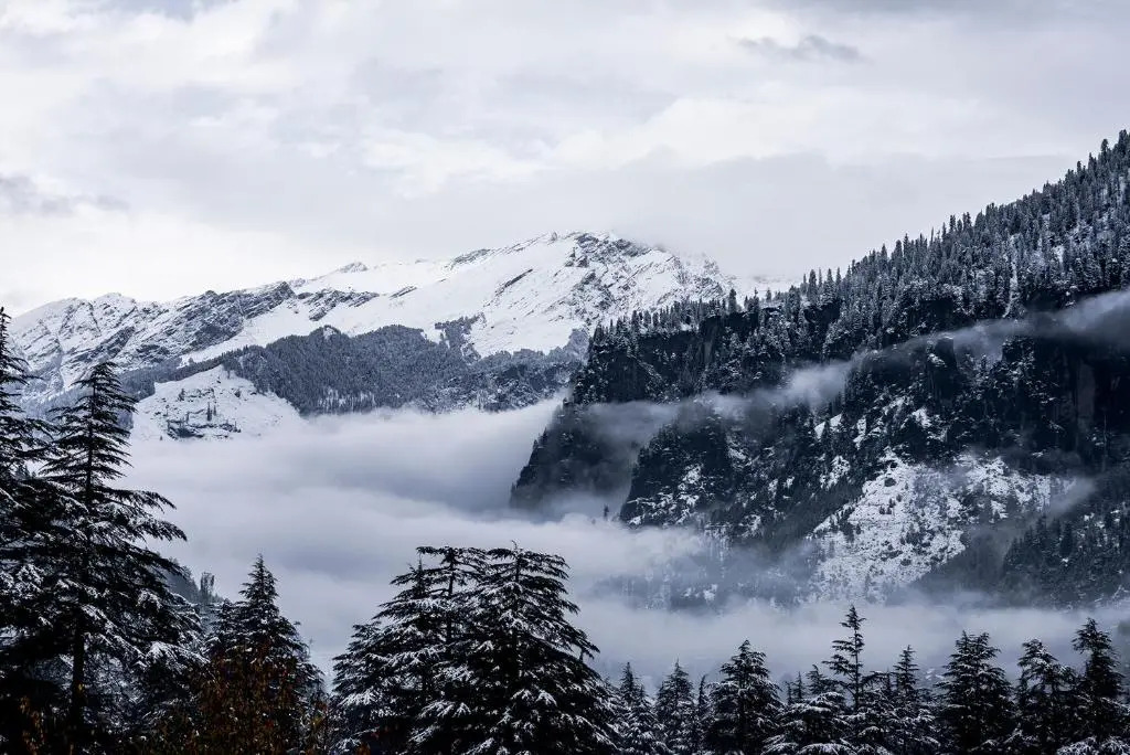Zen Manali by Keekoo Stays