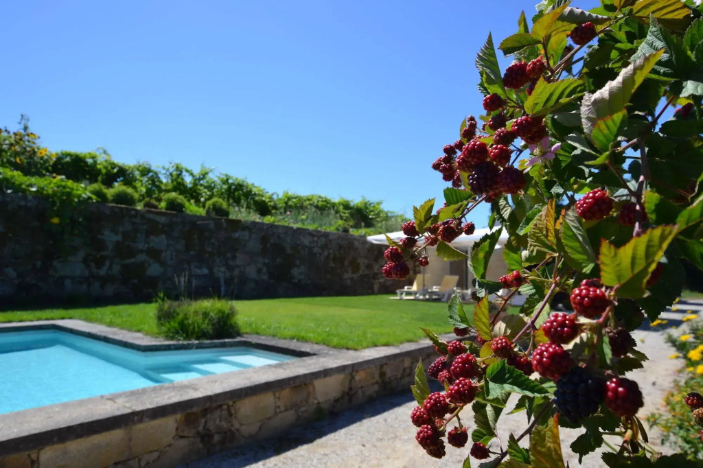 Quinta Da Agra