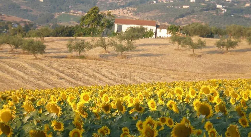 Casa in Collina