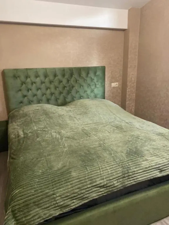 Warm Villas In Bakuriani