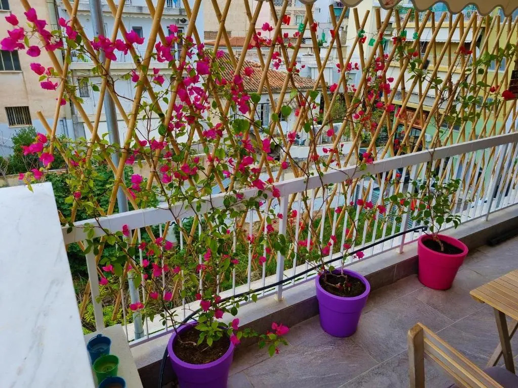 WOW Penthouse Boutique in the heart of Historical Center