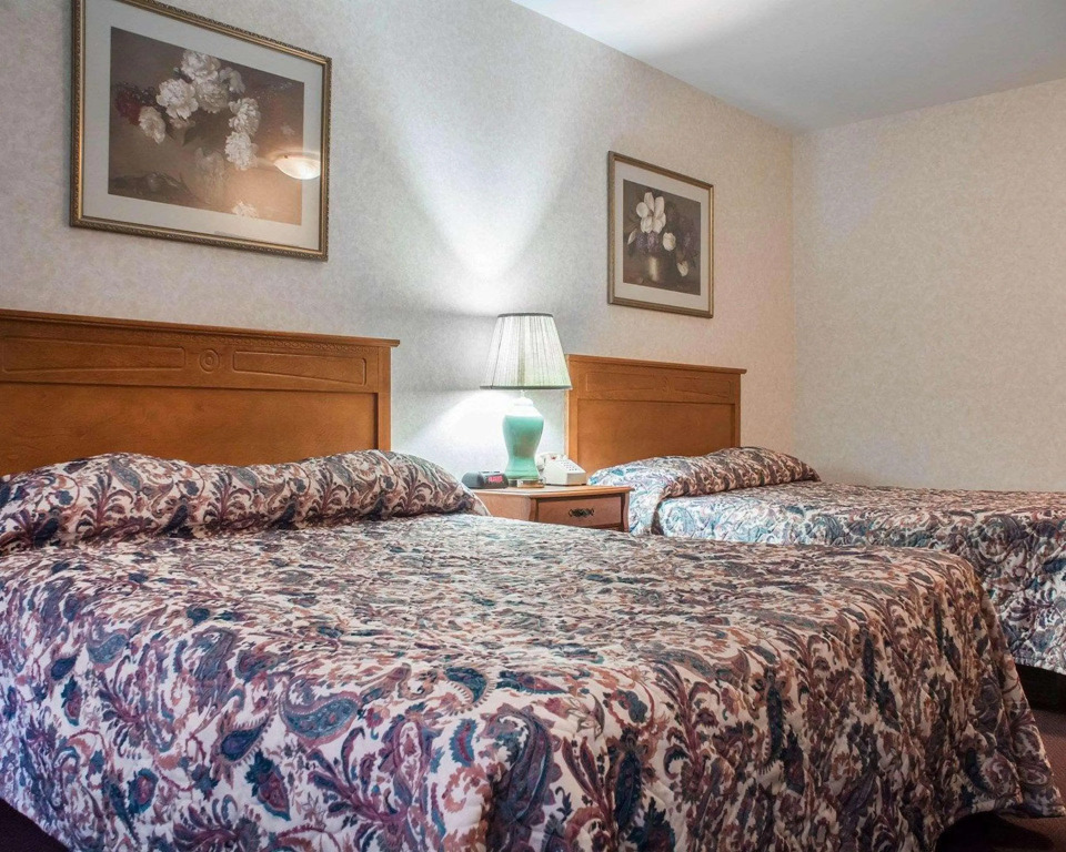 Econo Lodge By the Falls