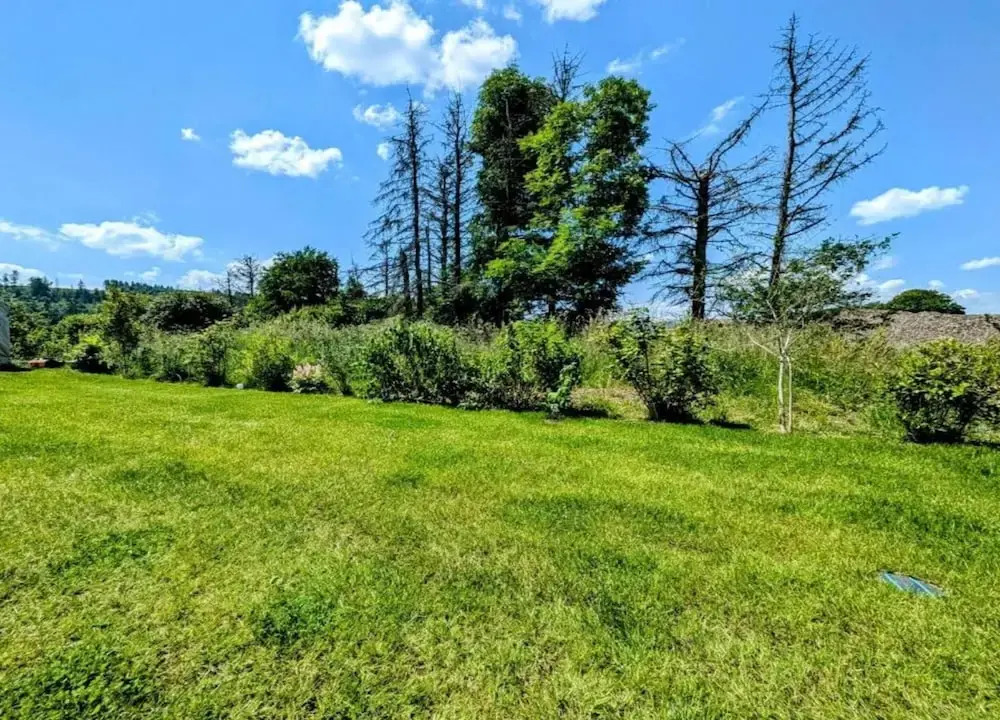 Ferienwohnung Oberschledorner Wald