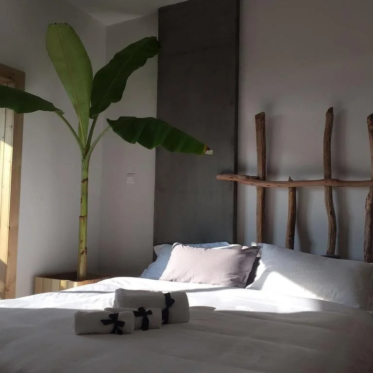 Jing Pu Plant Theme Hostel