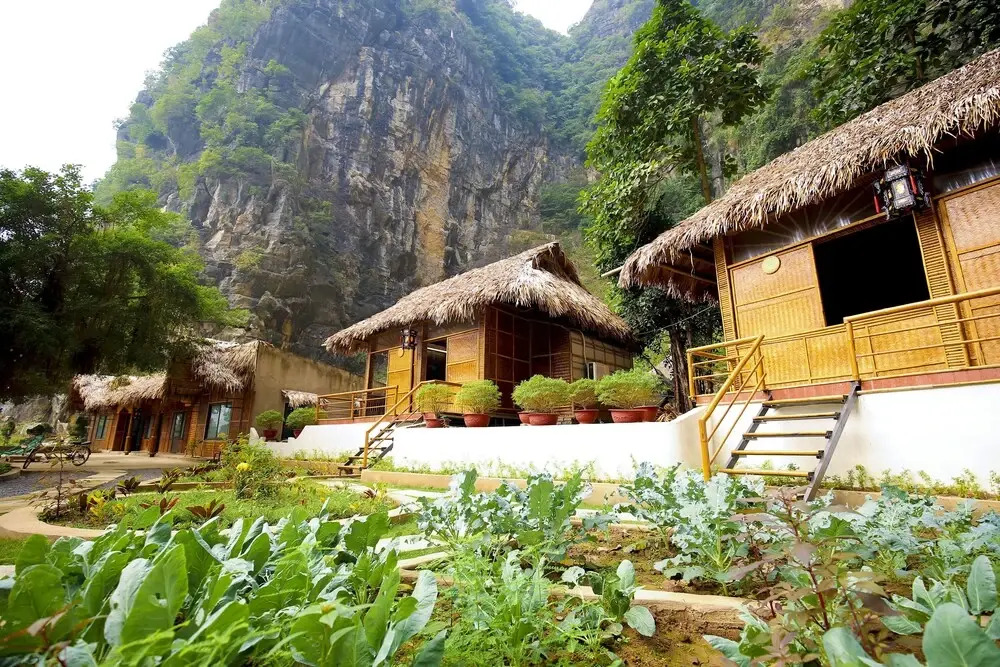 Trang An Passion Homestay
