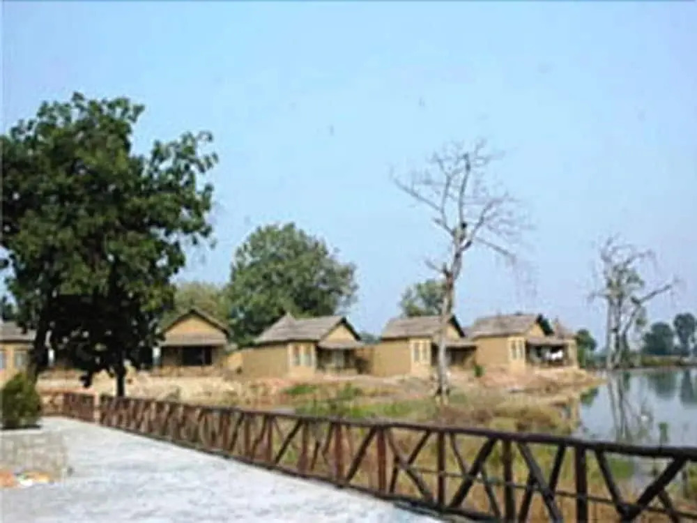 Tiger Lagoon