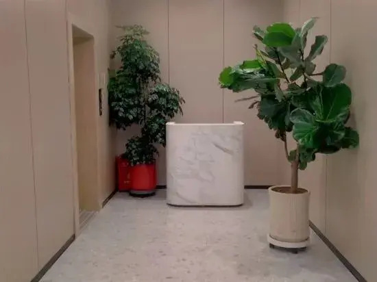 Rui Yi apartment