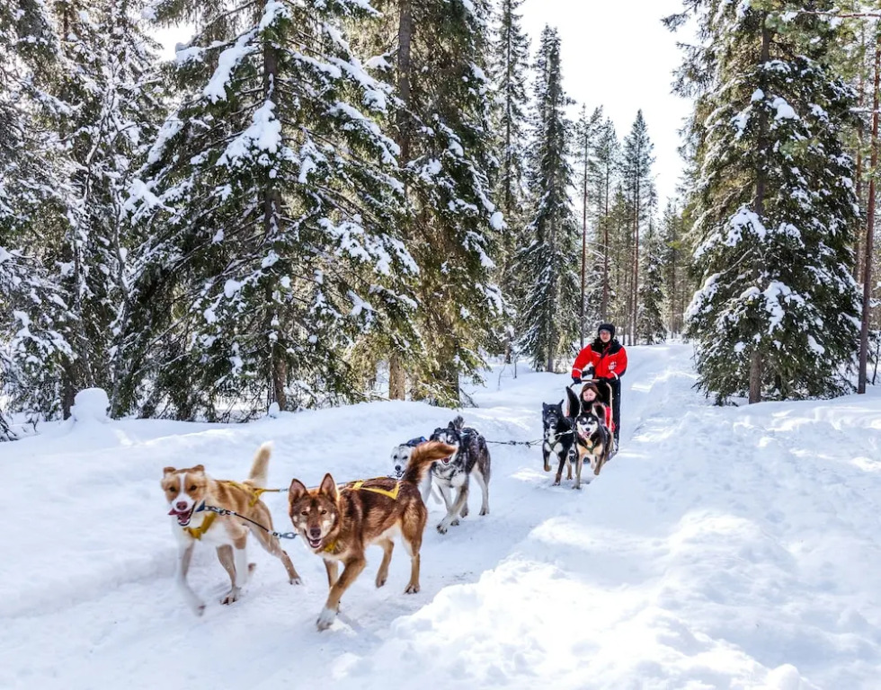 Lapland Hotels Bear´s Lodge