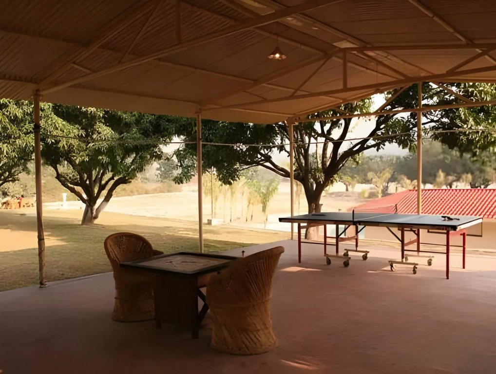 Tiger Camp