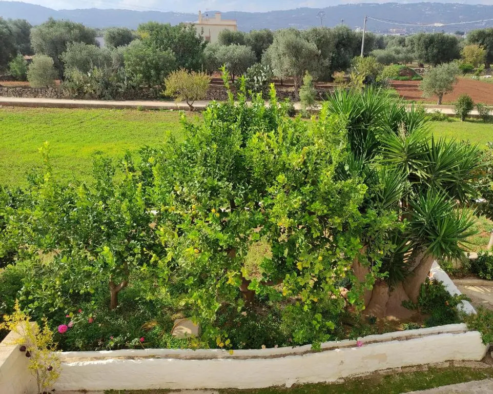 Residenza "I Tre Carrubi "