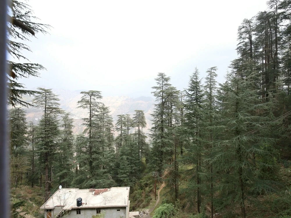 OYO 12698 Home Nature view kasumptti