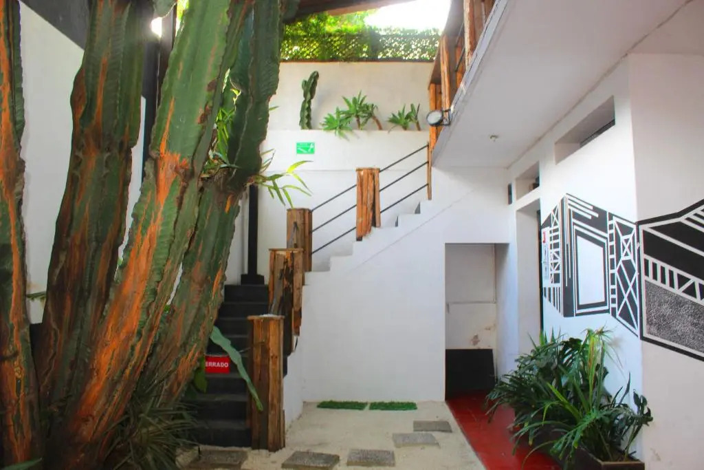 Volko Party Hostel