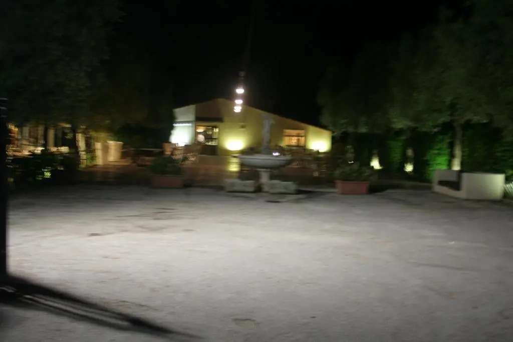 Gli Ulivi del Monte
