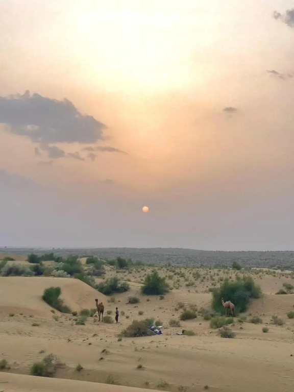 Crazy Camel Hotel & Safari