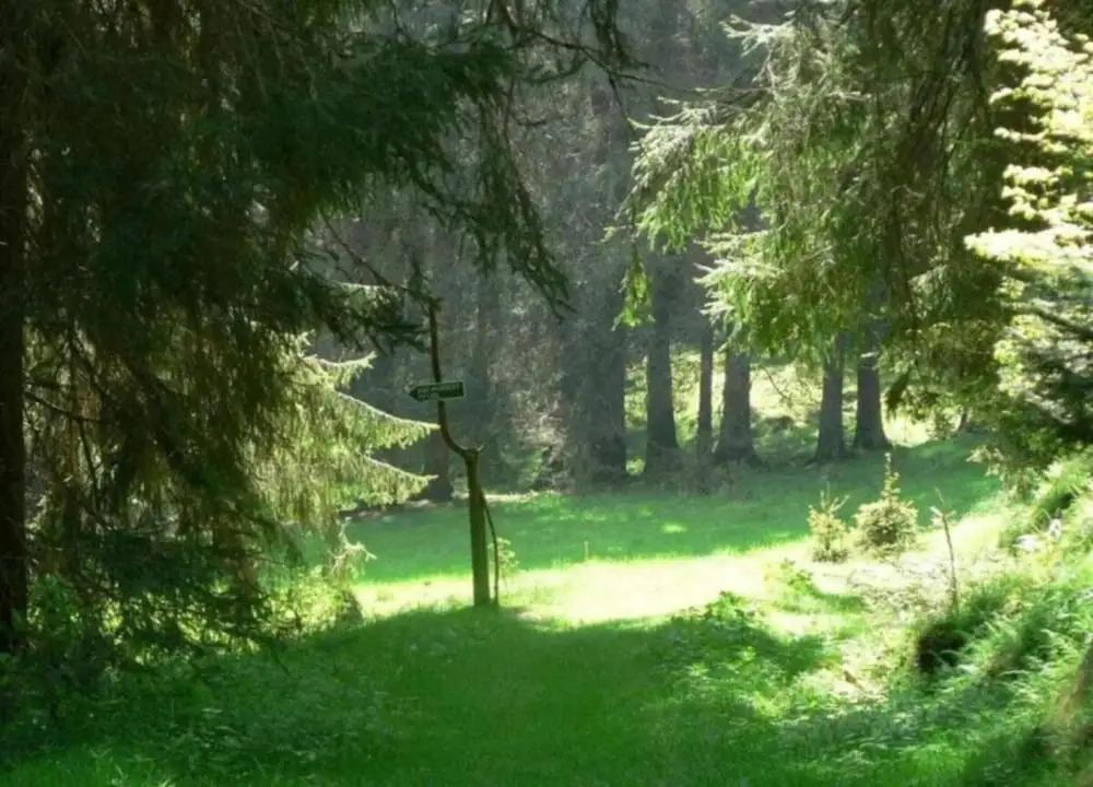 Holiday home in the Thuringian Forest
