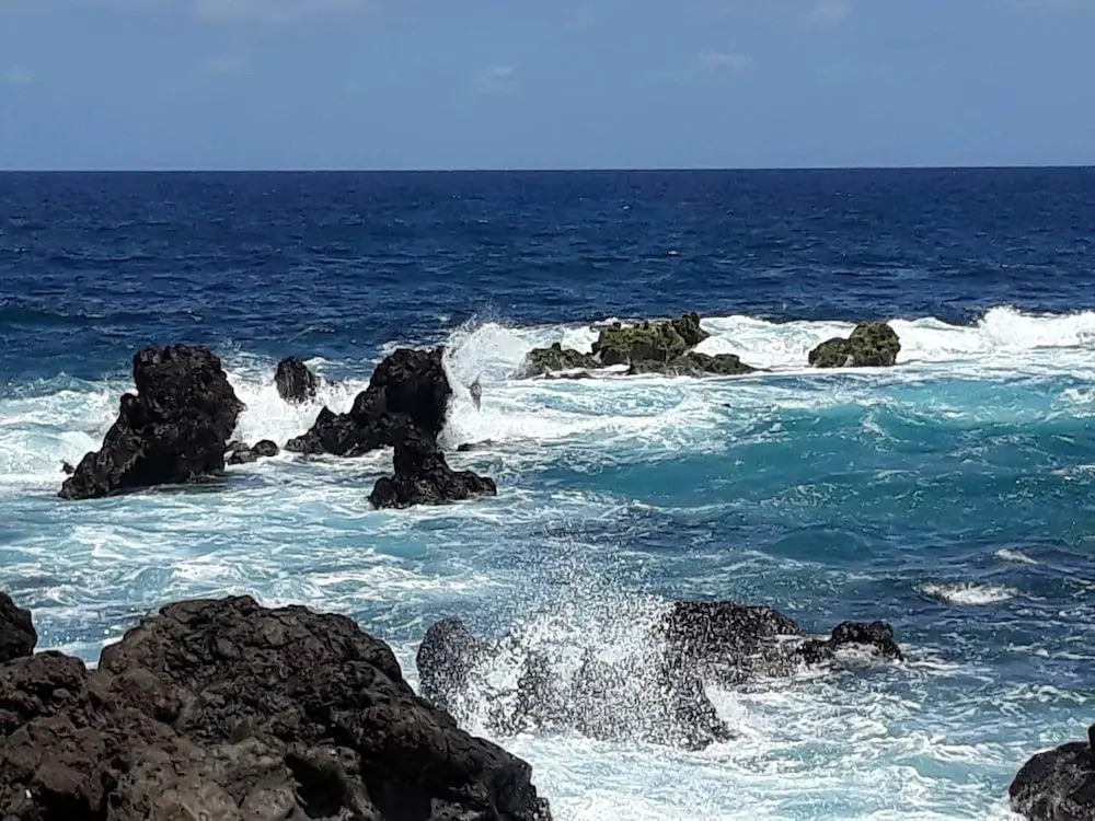 Finca El Lance