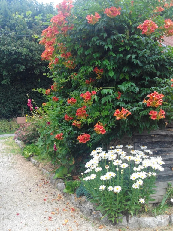 House With 2 Bedrooms in Monlaur-bernet, With Furnished Terrace