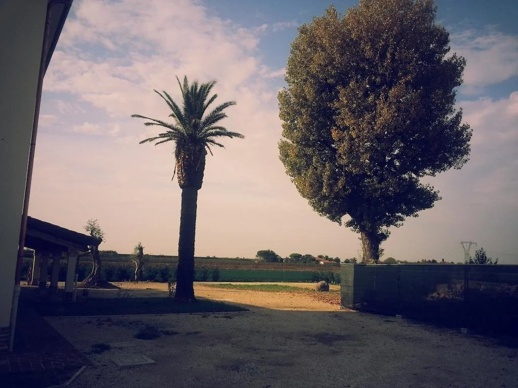 Casetta56
