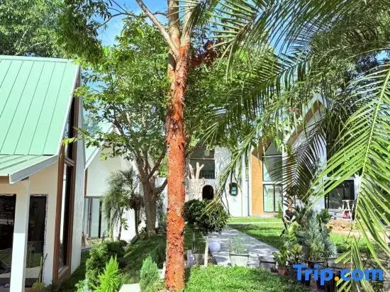 Lanta Forest Resort&Villas