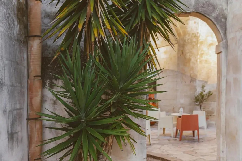 Hotel Sassi