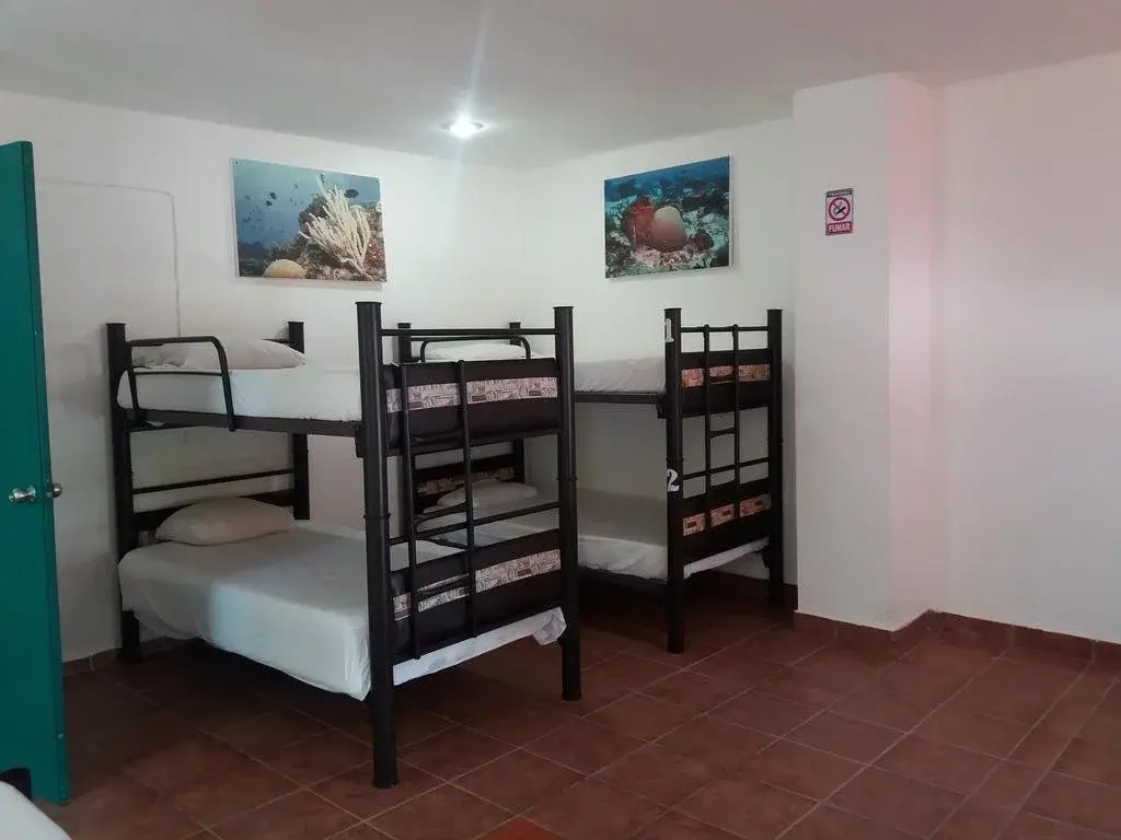 Loft 10 Hostel