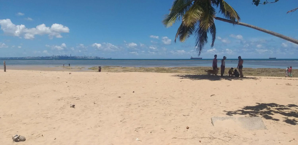 A Bela Casa da Ilha, na Ilha de Vera Cruz, Coroa, 300m da praia!