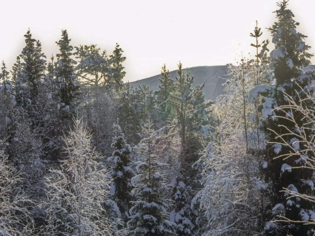 Lapland Happiness / Skistar 201