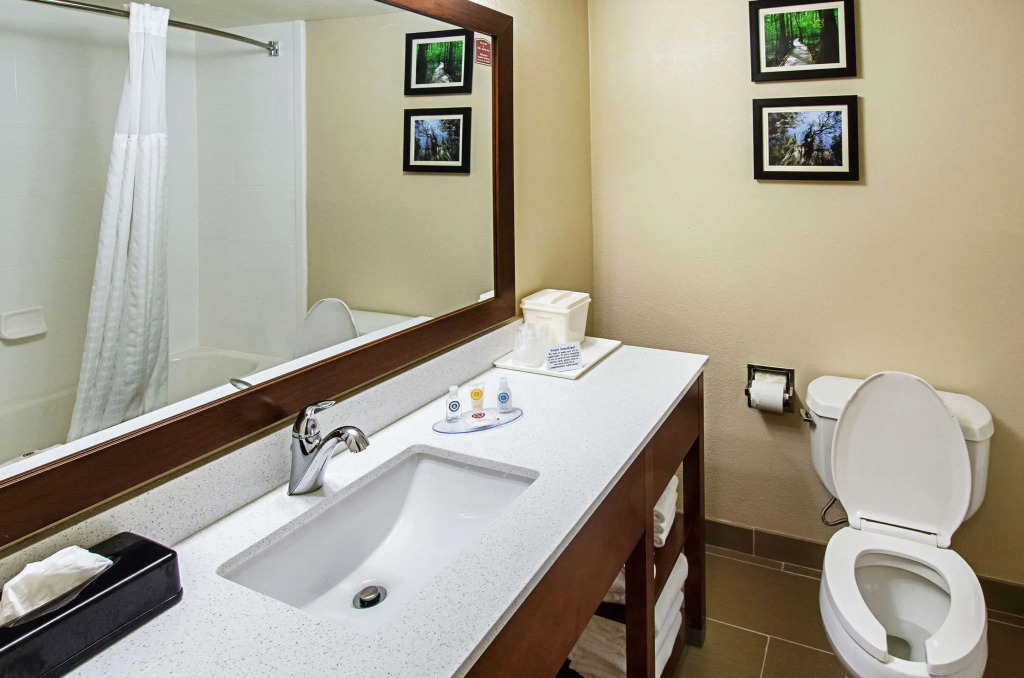 Comfort Inn & Suites Santee I-95