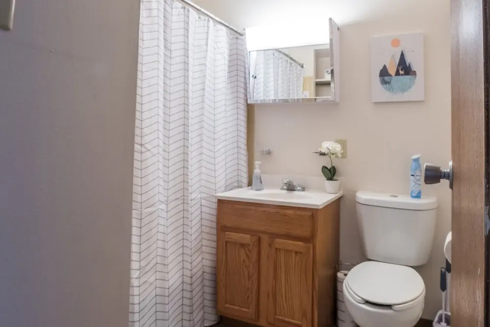 Stylish Apartments in Downtown