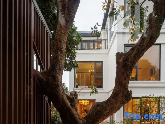 Lush Hostel