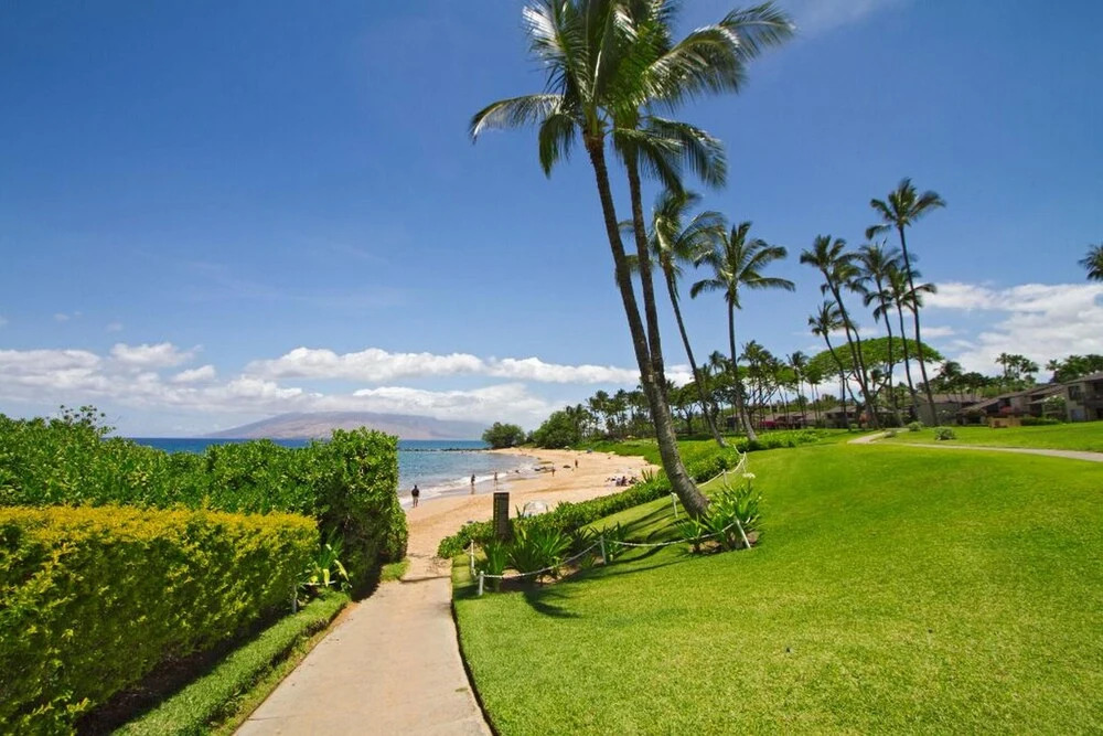 Wailea Elua #1404 by Ali'i Resorts