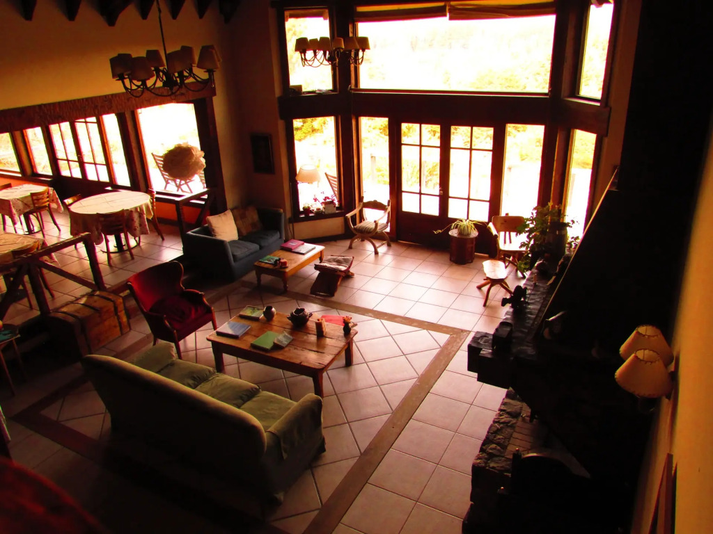 Naranjo en Flor