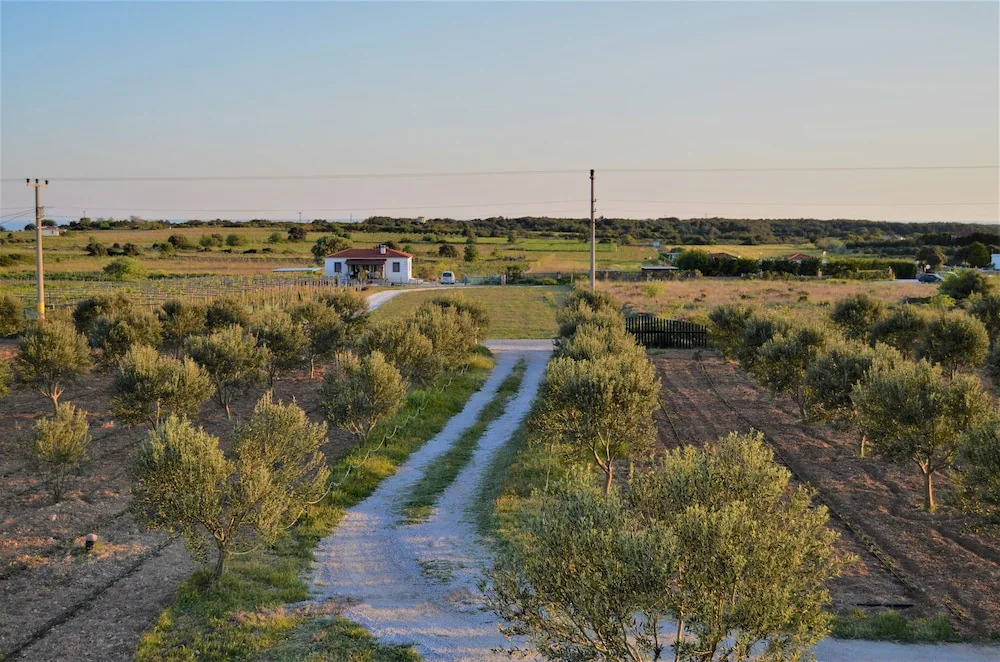 Le Petit Hotel ve Bağ Evi