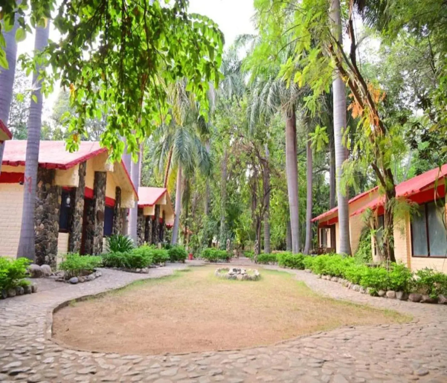 Leopard Lair Ananta Express