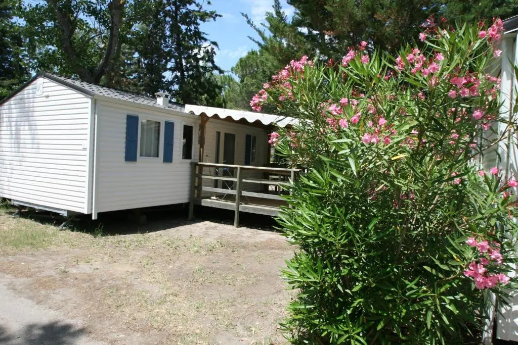 Camping LEDEN