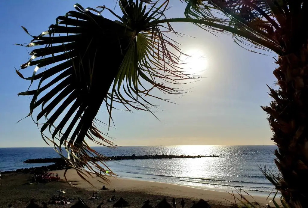 Parque Royal Torviscas Playa wi-fi 600Mb