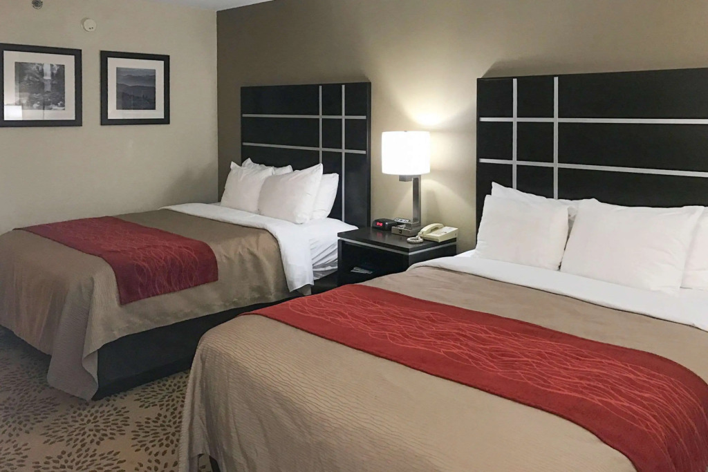 Comfort Inn North of Asheville