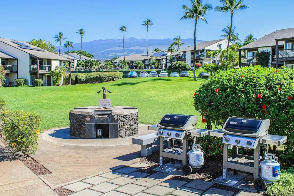 Hale Kamaole #336 - 2 Br Condo