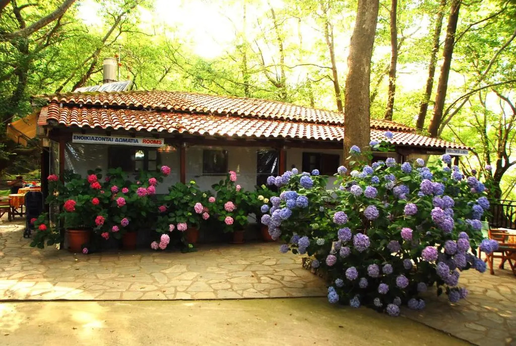 Tasoula Parselia Studios