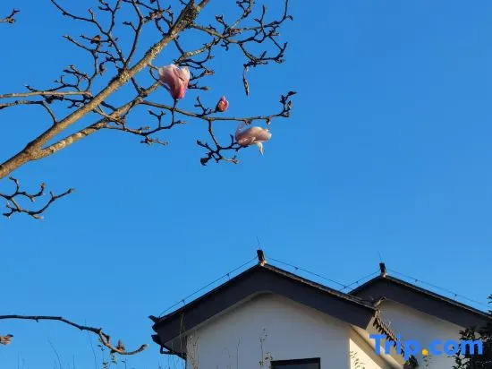 Tianmu Anqing Hot Spring Villa