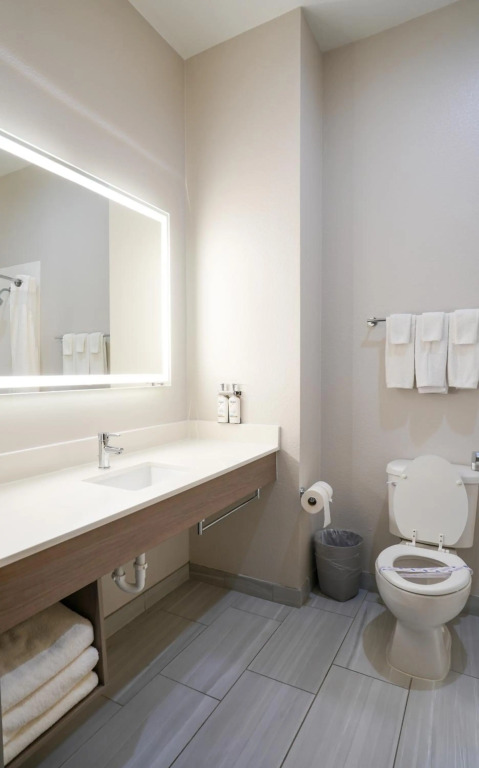 Holiday Inn Express Hotel & Suites Cedar Hill by IHG