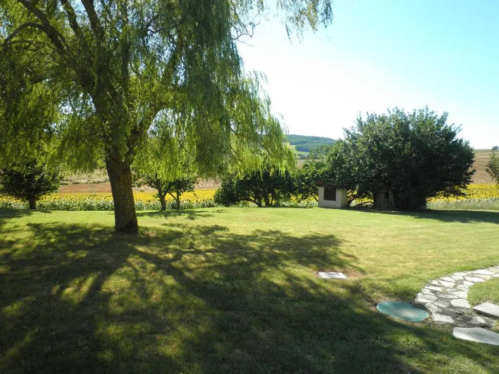 Domaine de la Vigne