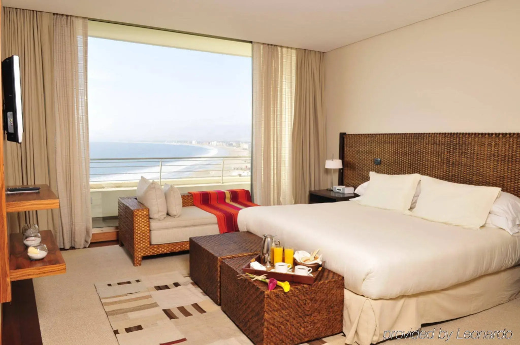 Enjoy Coquimbo